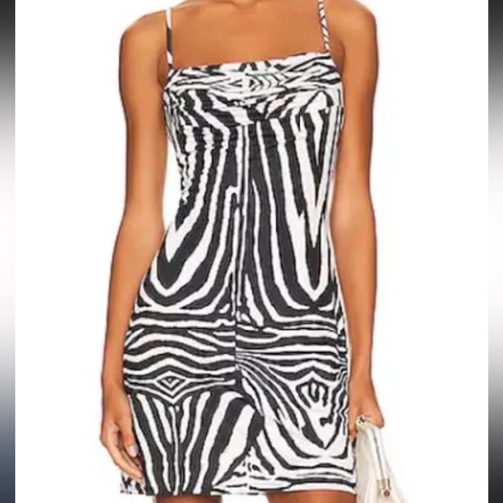 AFRM Black and White Zebra Print Mini Dress
